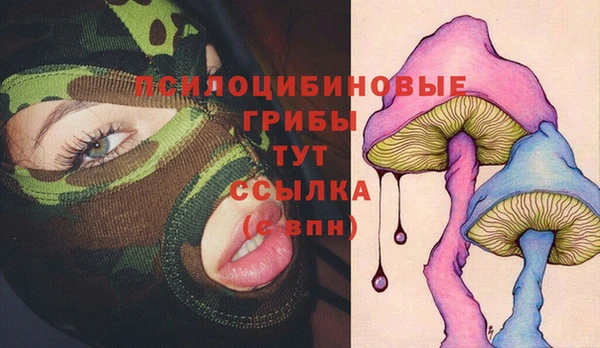 круглые Алзамай